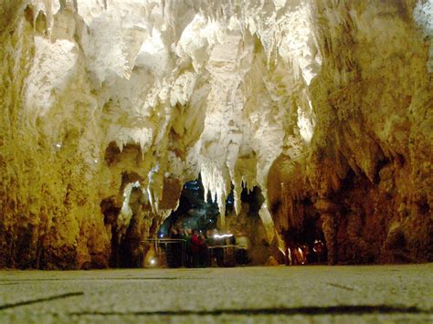 Waitomo Caves At The Night, New Zealand - InspirationSeek.com