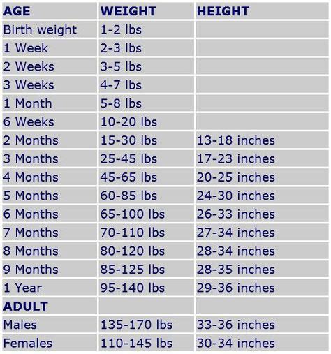 Great Dane Growth Chart Female