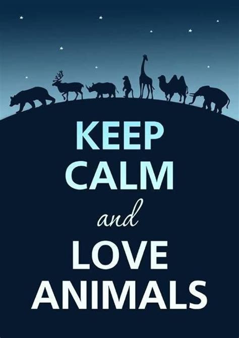 Keep Calm and Love Animals Animals And Pets, Baby Animals, Funny ...