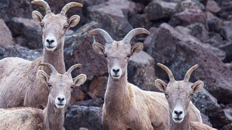 Five Reasons to Protect the Owyhee Canyonlands | The Pew Charitable Trusts