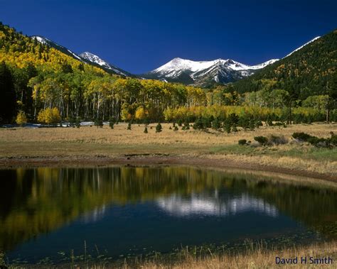 Flagstaff, AZ... One of my favorite places on earth =) | AZ Flagstaff ...