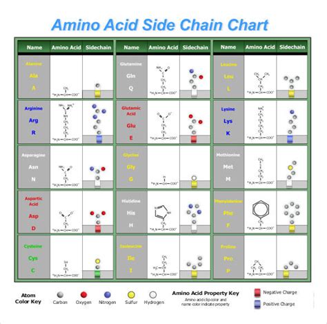 Amino Acid Charge Chart