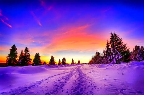 Winter Sunset Serenity: A Stunning HD Wallpaper