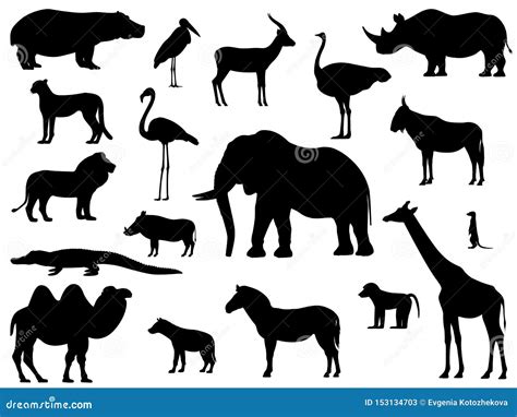 Set Silhouette Standing African Animals Stock Vector - Illustration of ...