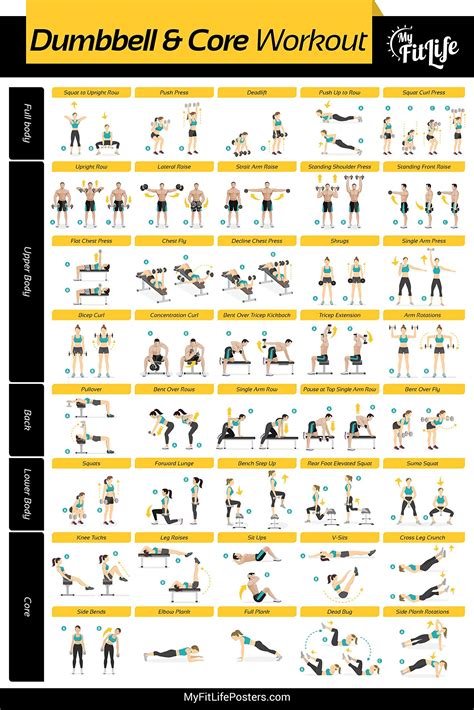 My Fit Life Gym Dumbbell and Core Workout Poster Laminated ...