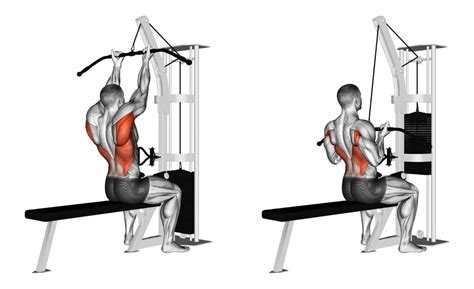 Supinated Lat Pulldown (Reverse Grip) Benefits & Proper Form