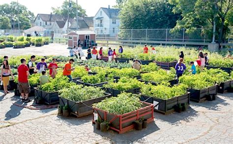 The importance of urban gardening | Urban garden, Community gardening ...