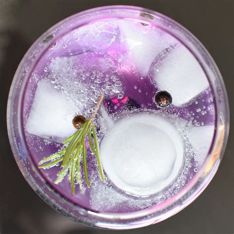 The Perfect Spanish Gin-Tonic Recipe | Delishably