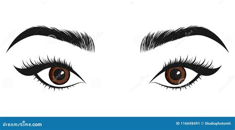 Beautiful Brown Eye. Vector Illustration Stock Vector - Illustration of ...