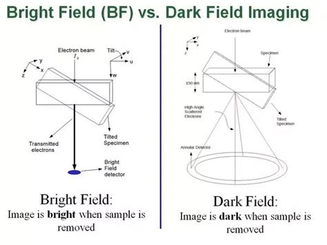 Microscopy Techniques: Bright Field vs. Dark Field - Idea Genesis