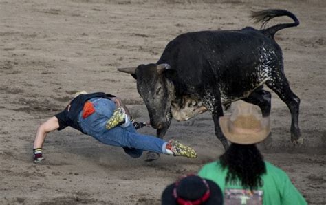 Costa Rica Bullfighting: "Toros a la Tica"