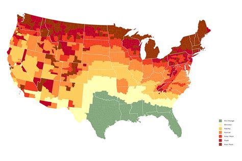 Fall Foliage Map 2024: Prediction of Fall Colors Across America - The ...