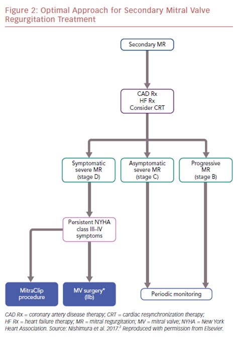 Optimal Approach For Secondary Mitral Valve Regurgitation Treatment ...