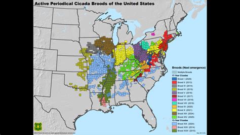 Cicada Map 2021 Where The Biggest Swarm Will Be Wqad | Maps Of Ohio