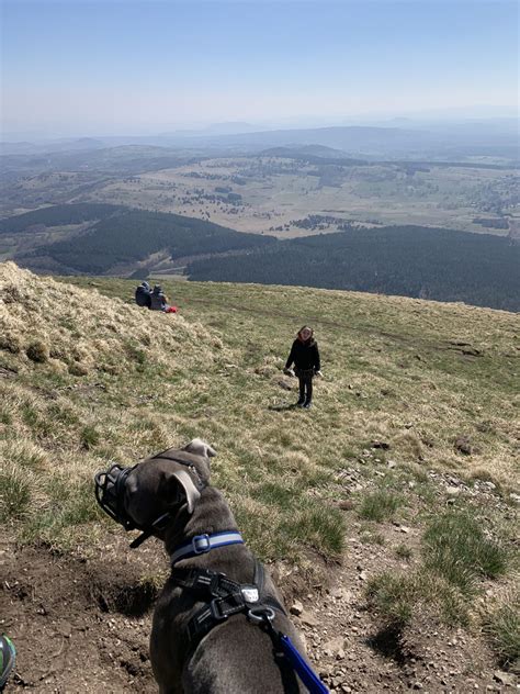 Surrounded by Giants, Clermont-Ferrand, Volcanoes and the history of ...