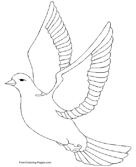 Printable coloring pages of birds - Dove