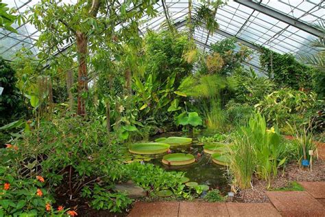 Dundee University Botanic Garden 2-for-1 entry - BBC Gardeners World ...