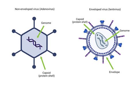 Addgene Blog: A Better Way to Share Science