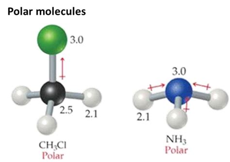 5. Polarity and Solubility