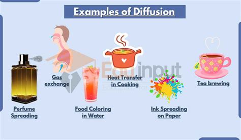 Diffusion Examples-18 Everyday Diffusion Demonstrations