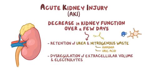 Acute kidney injury: Clinical practice - Osmosis