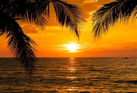 Beautiful sunset tropical beach with palm tree and blue sky for travel ...