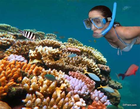 The unknown future of the Great Barrier Reef - Tourism calls for ...