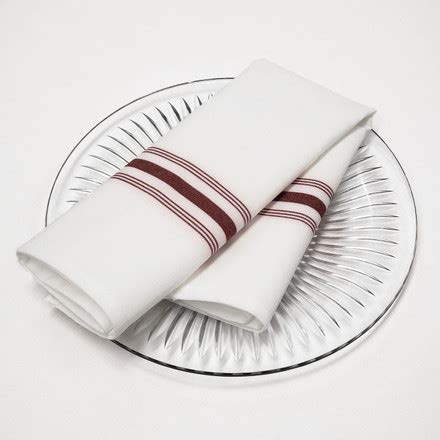 Buy Best Cloth Napkins in Bulk – TableLinensforLess