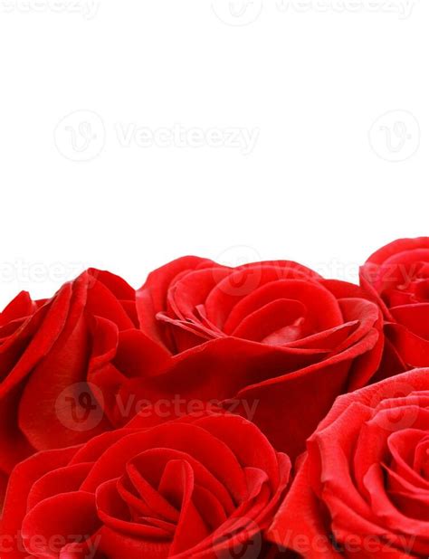 Red roses border 36406198 Stock Photo at Vecteezy