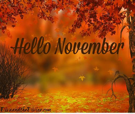 Hello November Wallpapers - Top Free Hello November Backgrounds ...