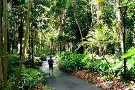 Brisbane City Botanic Gardens | Brisbane Kids