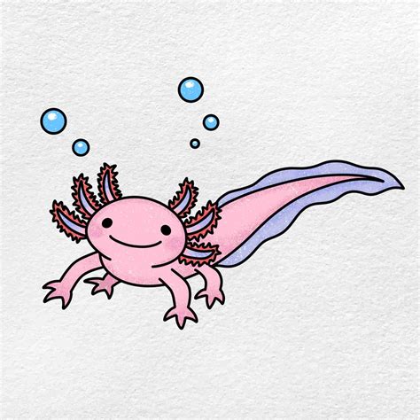 Axolotl Drawing Easy Axolotl Drawing Ideas Axolotl Drawings Art | The ...