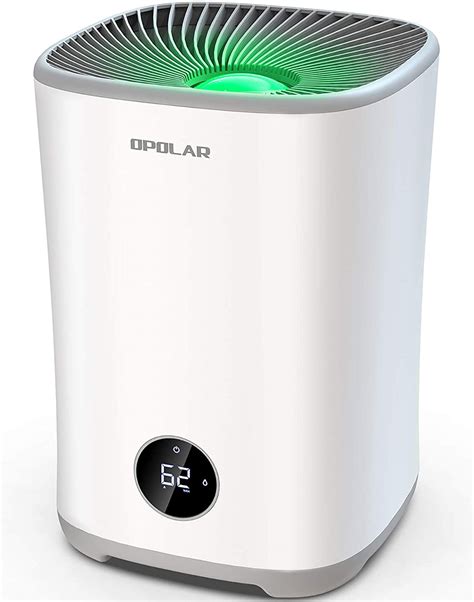 5 Best Cool Mist Humidifiers - Reviews and Buyer's Guide 2022