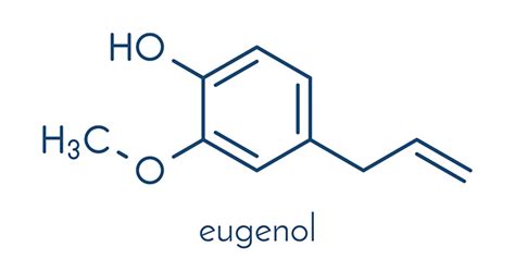 Eugenol sources, health benefits and uses