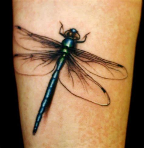 Dragonfly Tattoos for Men - Ideas and Inspiration for Guys