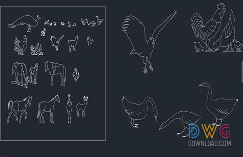 Different Animals Cad Blocks » DwgDownload.Com