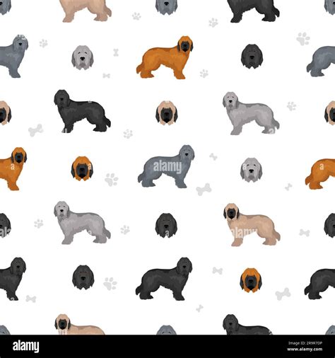 Briard dog seamless pattern. All coat colors set. Different position ...