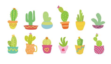 Cactus | Vintagio Design