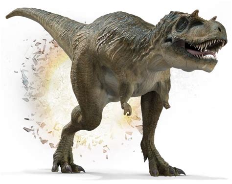 Albertosaurus Characteristics, Facts, Range, Habitat and Behavior