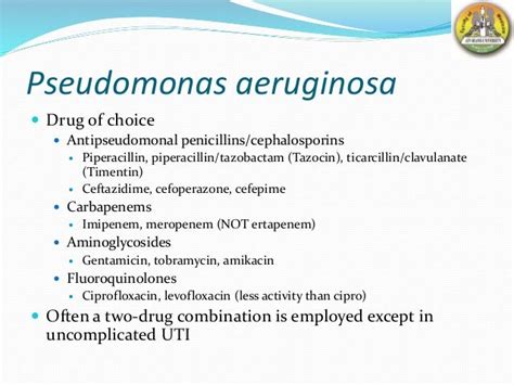 Antibiotics For Pseudomonas Aeruginosa Uti - Carpet Vidalondon