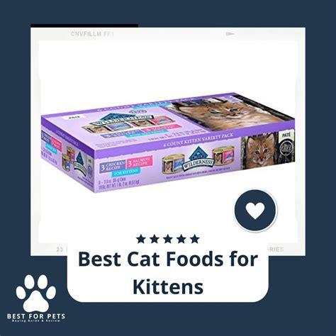 15 Best Cat Foods For Kittens - BestForPets.org