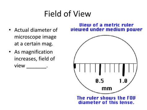 Calculating Field Of View Microscope Worksheet