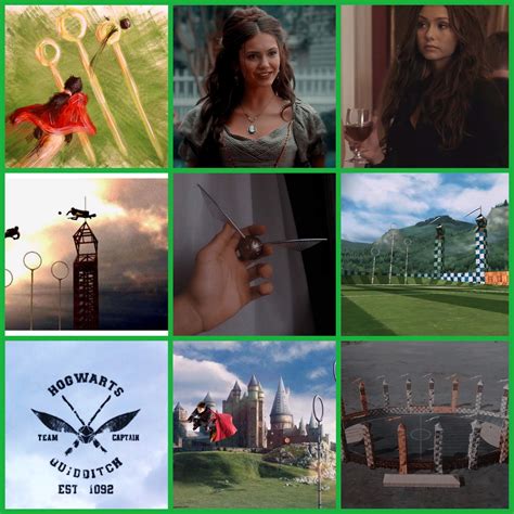 Hogwarts Diaries Quidditch Positions | Vampire diaries & Originals Amino