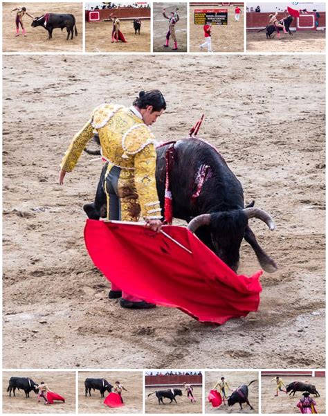 Toro! – MindStorm Photography Blog and Gallery