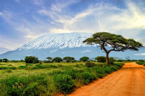 Pictures of the Snow-covered Kilimanjaro in Kenya Stock Photo - Image ...