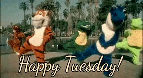 Happy Tuesday GIFs - The Best GIF Collections Are On GIFSEC