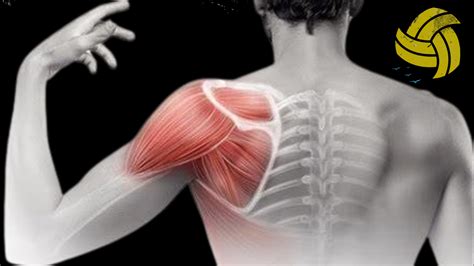 Say Goodbye to Shoulder Pain