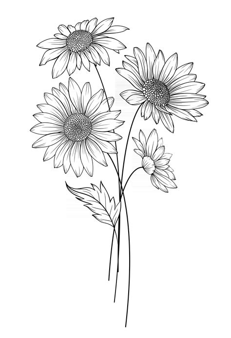 Daisy Flower Ukrainian Artist Sketch April Birth Flower ...