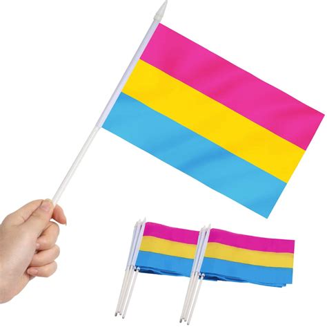 Anley Pansexual Pride Mini Flag 12 Pack - Hand Held Small Miniature Pan ...