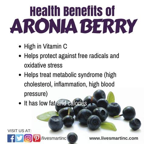 900+ Health Benefits Aronia Berries ideas in 2021 | aronia berries ...